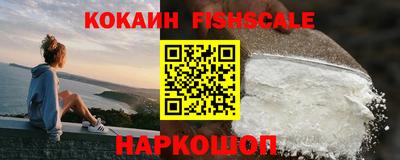 прущие грибы Новозыбков