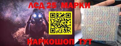 прущие грибы Новозыбков