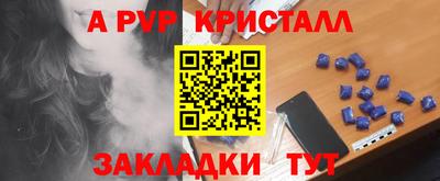 прущие грибы Новозыбков