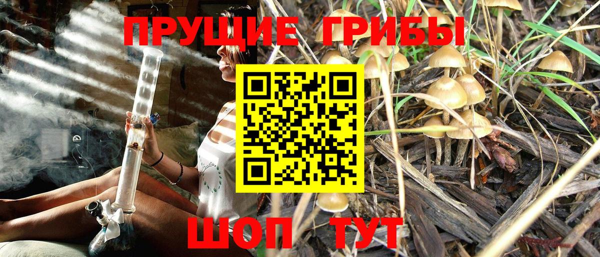 где купить   Вход с VPN  Серов  Псилоцибиновые грибы MAGIC MUSHROOMS 